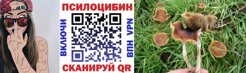 Галлюциногенные грибы мухоморы  купить закладку  Щигры 